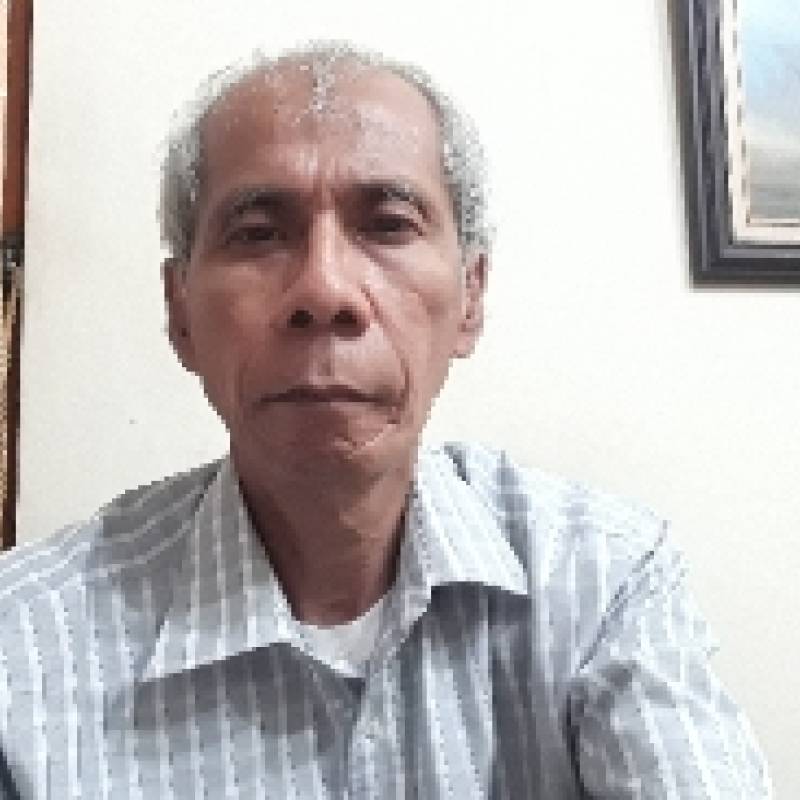 Tatang, 66, Araquari