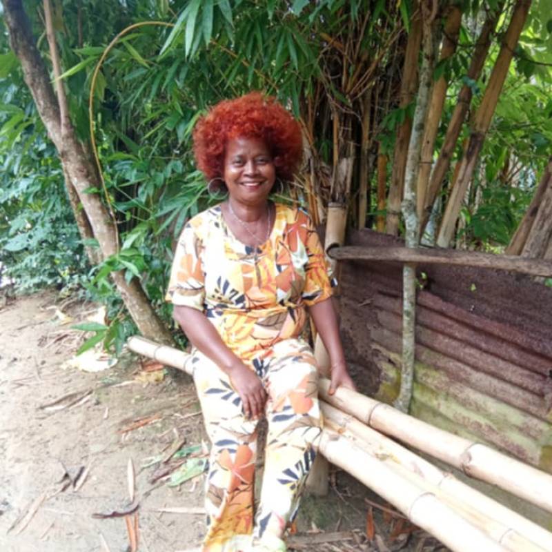 Lily, 59, Mulhouse