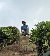 Shaah, 20, Dhanbad