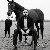 Feroz, 30, Jessore