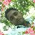 Sahidul Islam, 35, Bad Salzuflen