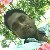 Sahidul Islam, 35, Susono