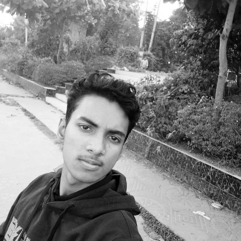 Md Polash, 19, Tanta