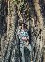 Riyad, 22, Bagerhat