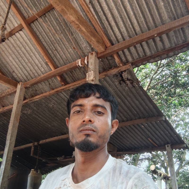 Juwel, 35, Benishangul