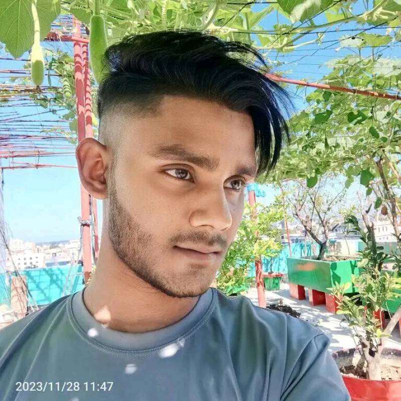 সাইফুল ইসলাম, 22, Phonko